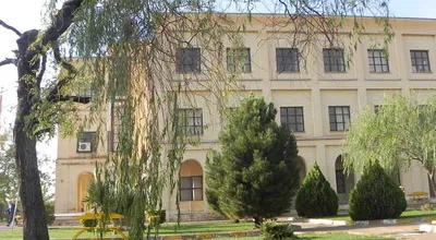 danesh22_1063_4365.jpg